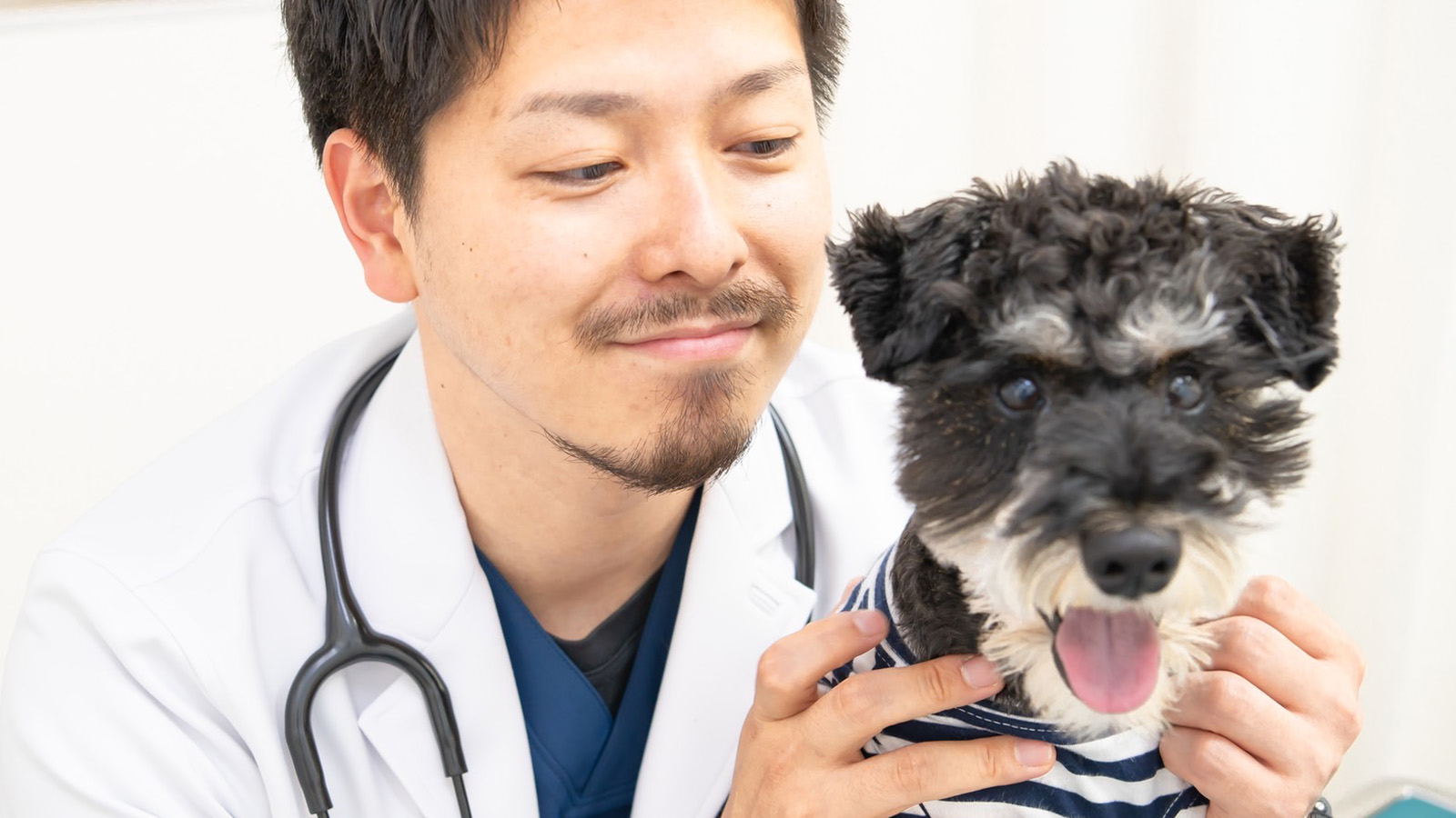 ペット ライフ 動物 病院 オファー 東麻布